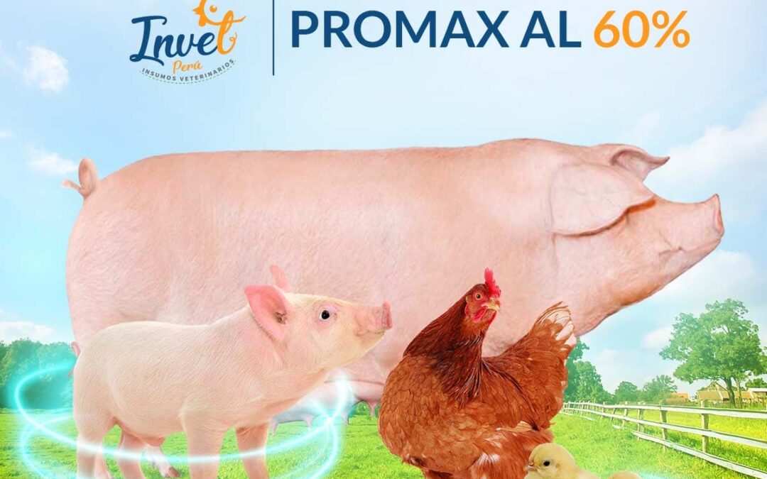 INCREMENTA LOS PARÁMETROS PRODUCTIVOS DE TUS AVES Y CERDOS