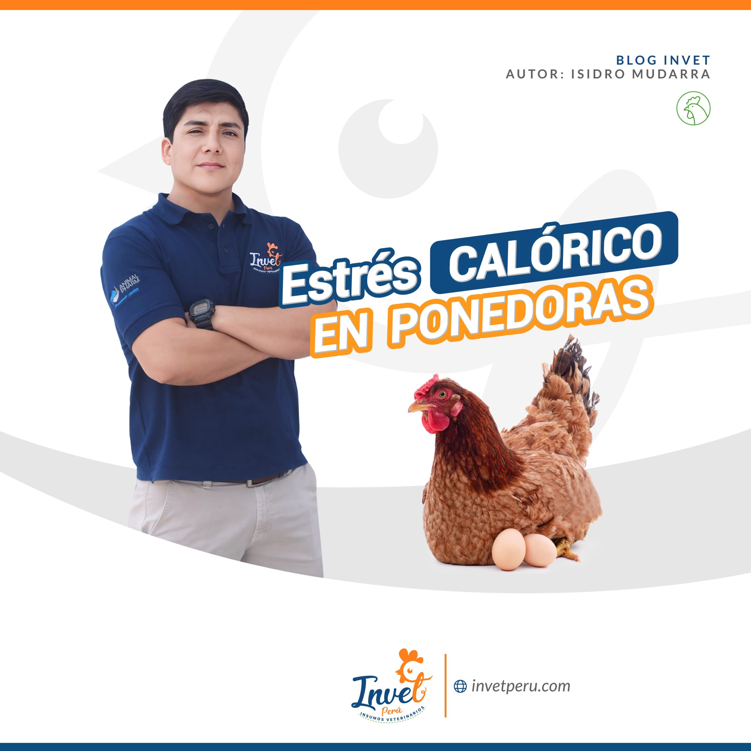 ESTRÉS CALÓRICO EN PONEDORAS
