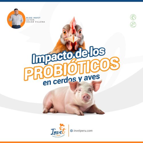 Impacto de los probióticos en aves y cerdos Impacto de los probióticos en aves y cerdos