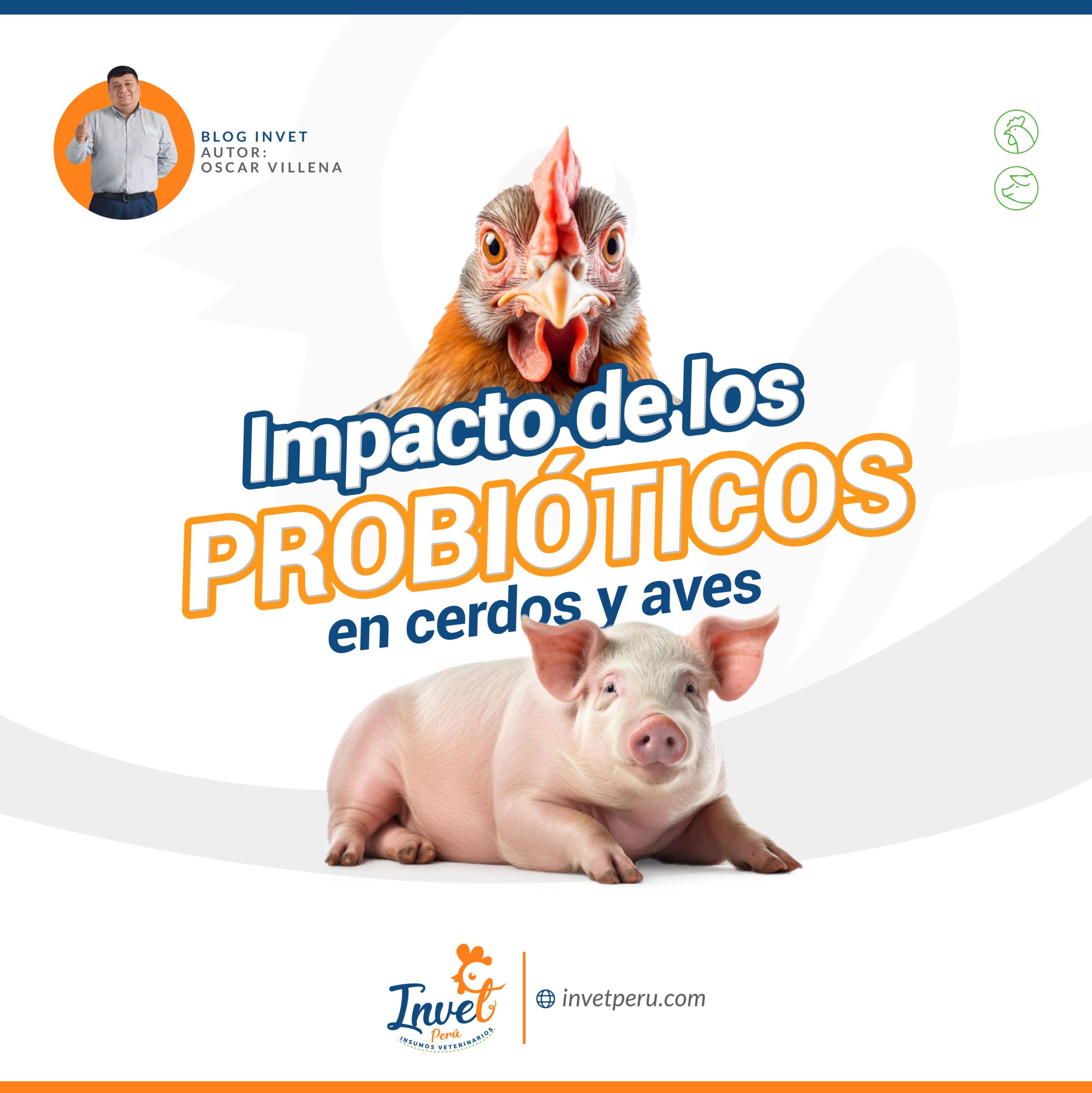 Impacto de los probióticos en aves y cerdos